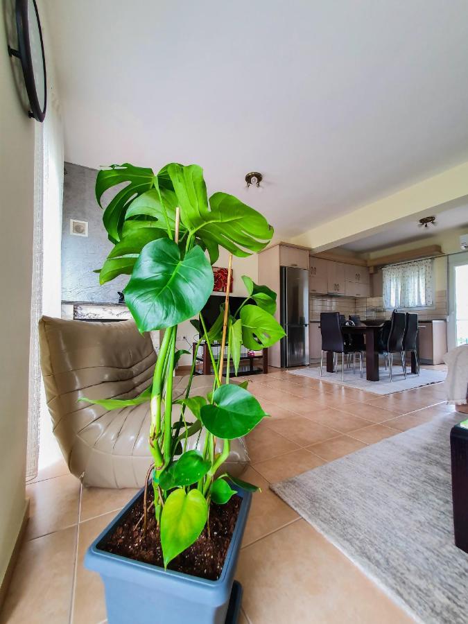 Olympian Two Floor Apartment Лептокарія Екстер'єр фото